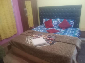 Hotel Antarctica &Pine n Dine blues cafe